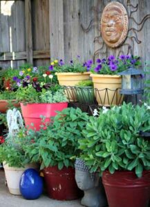 Essential Summer Maintenance for a Healthy Garden